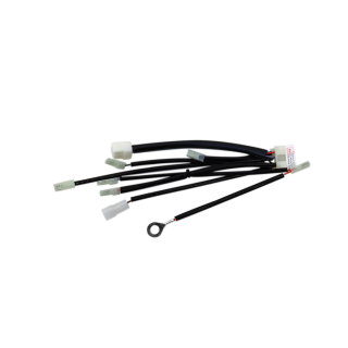 Set cablaggio interno per SE100/12V-13012V